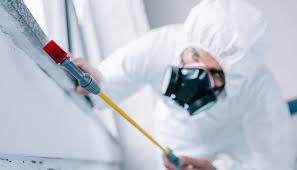 Best Real Estate Pest Inspections  in Negaunee, MI